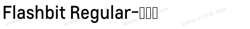 Flashbit Regular字体转换